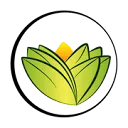The Ayurveda Experience IT